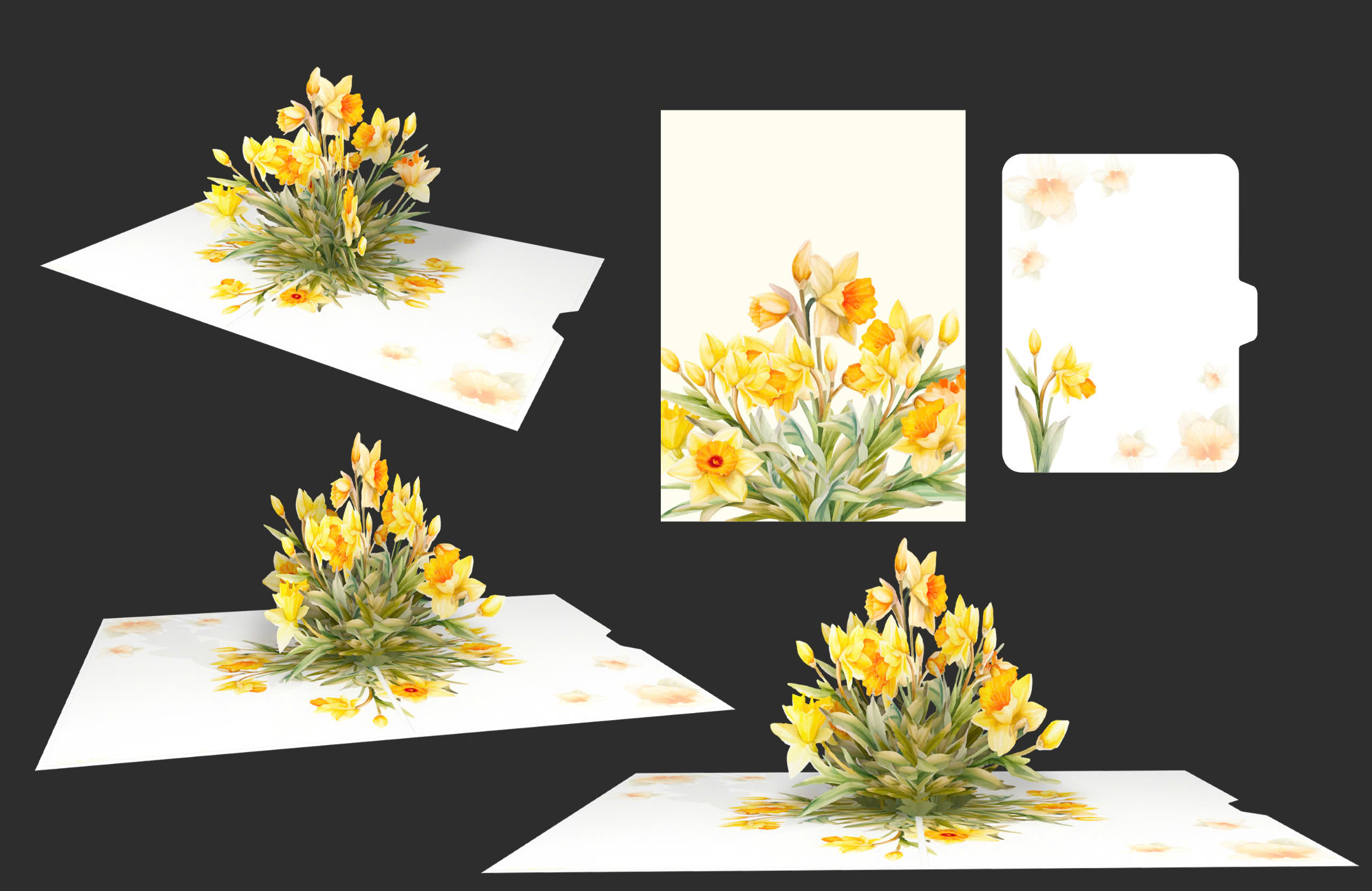 Daffodil