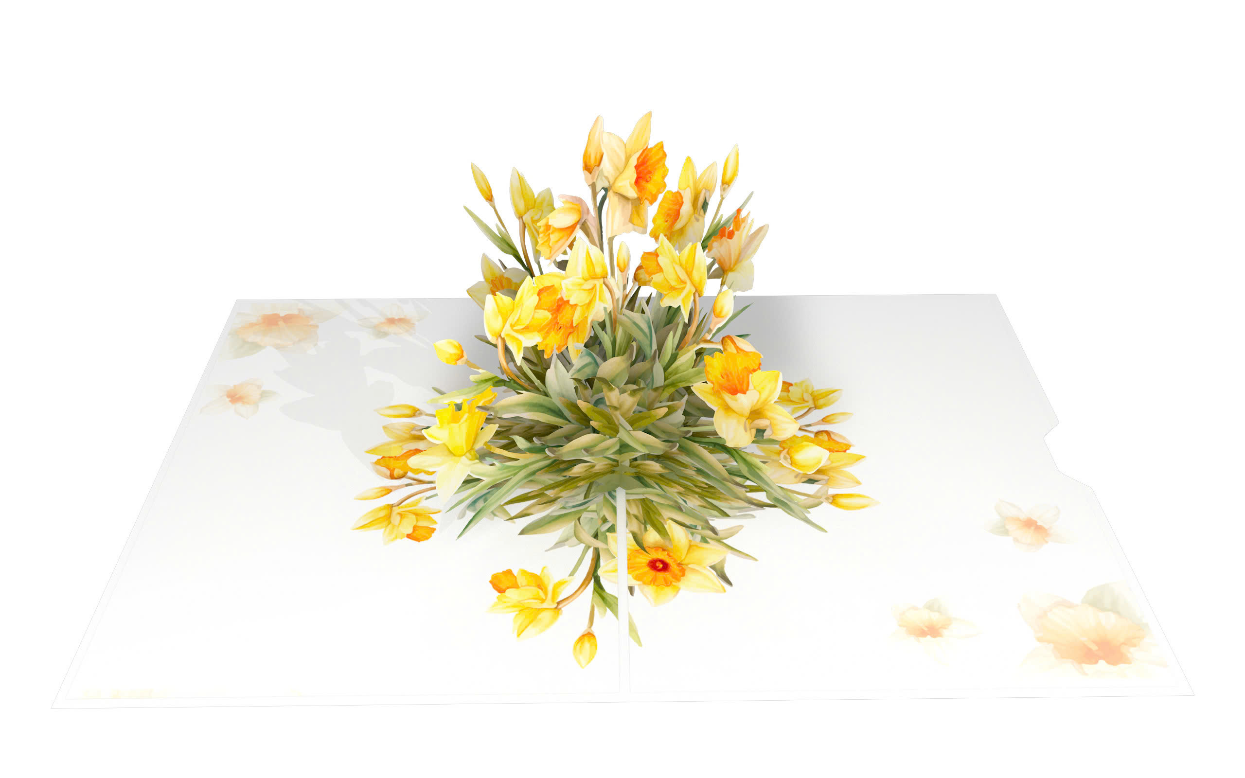 Daffodil.jpg_2
