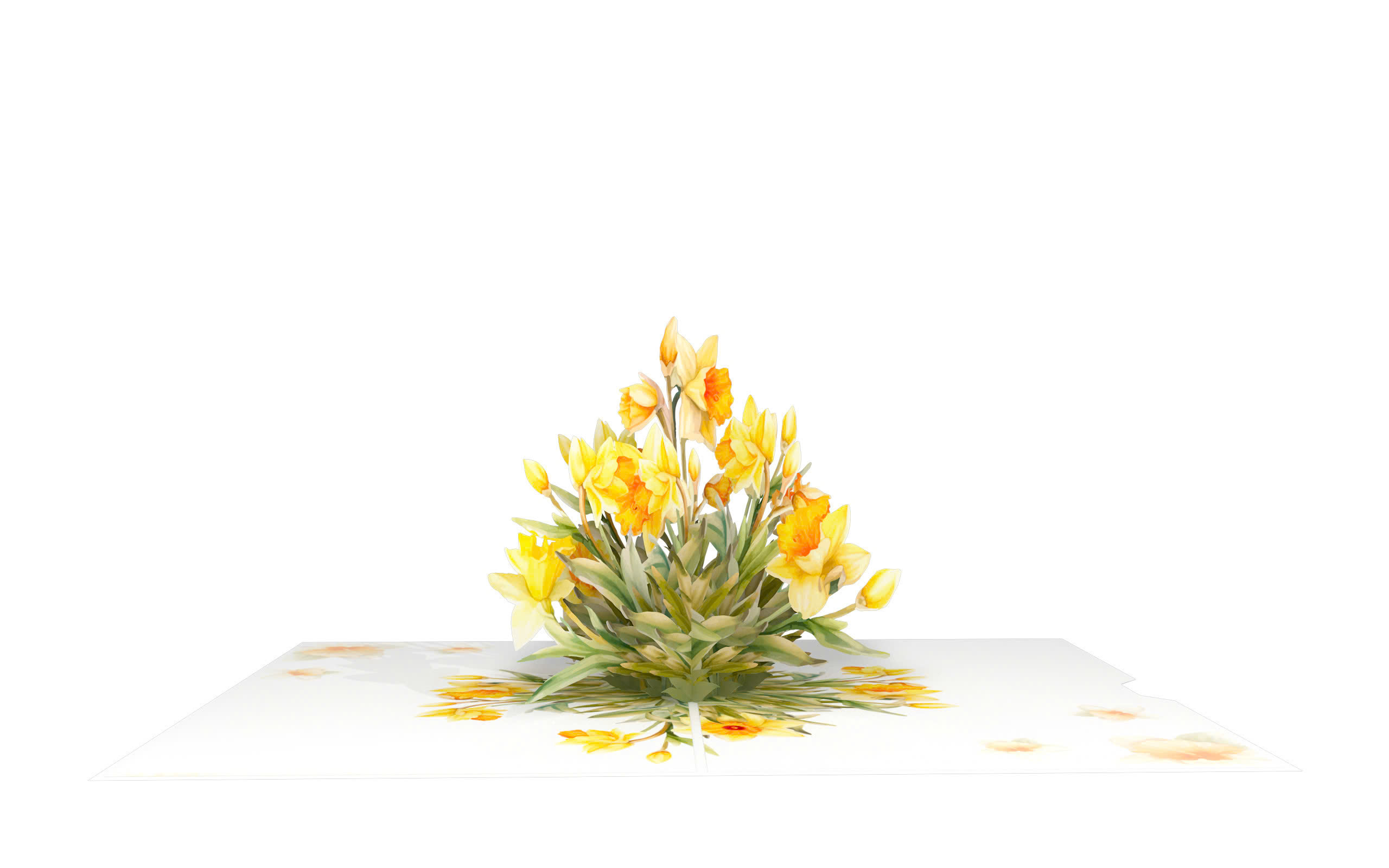 Daffodil.jpg_3