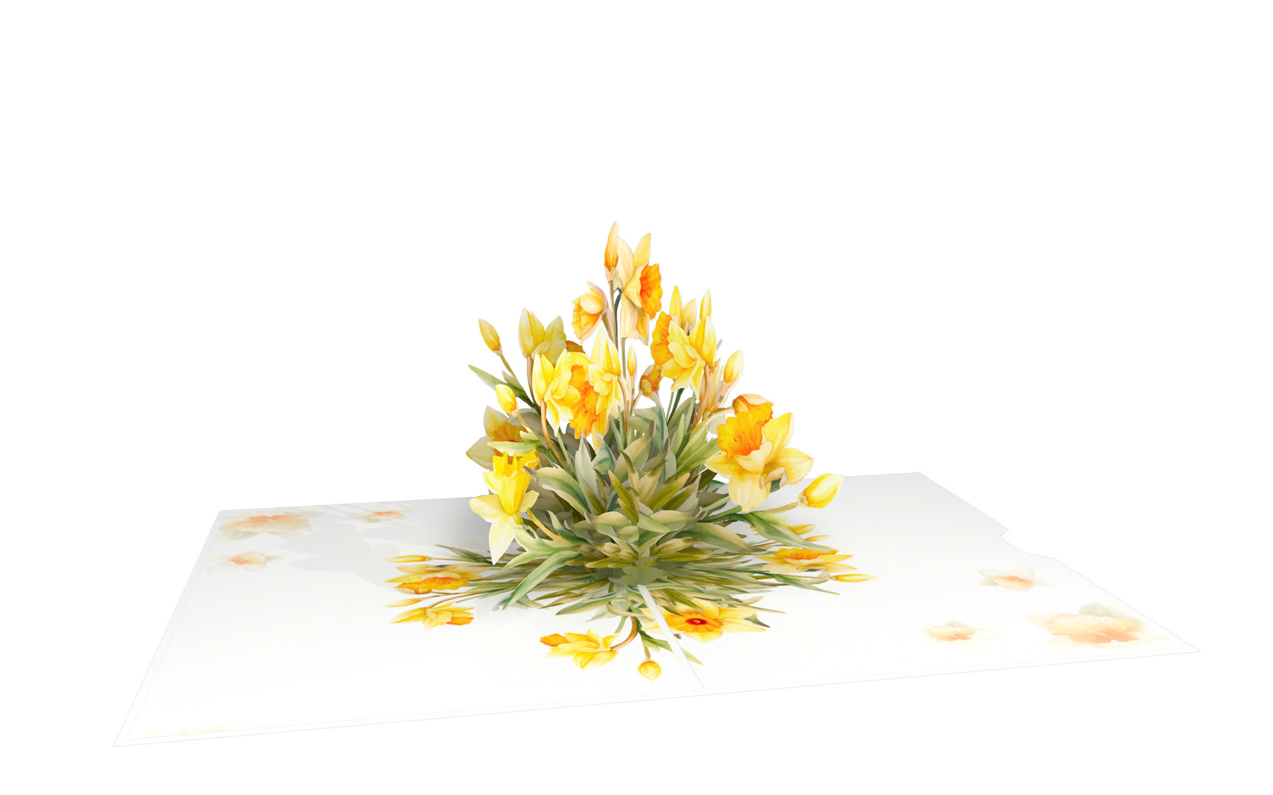 Daffodil.jpg_4
