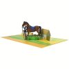 Elegant Equestrian 3D Pop-Up Card