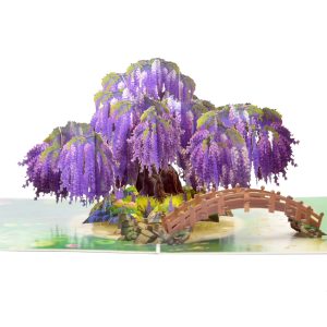jacaranda tree pop up card