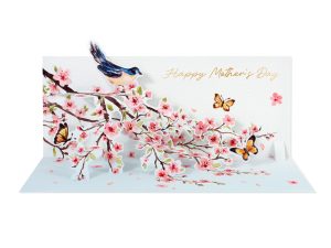 Bulk Pop Up Cards