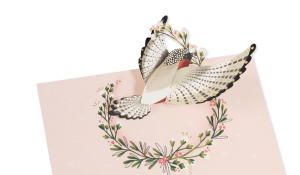 Bulk Pop Up Cards