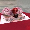 Heart Tree Pop Up Card