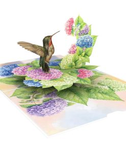 humming birds pop up cards