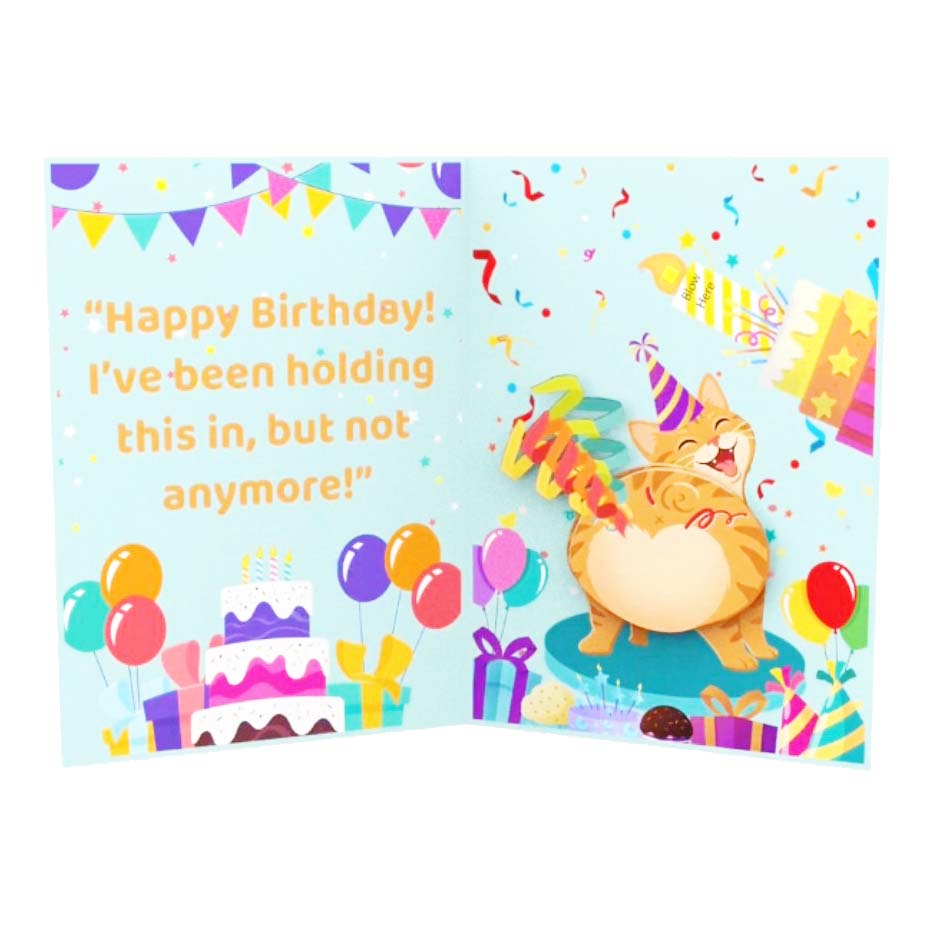 Sound & Shake Cat Birthday Card Sound & Shake Cat Birthday Card